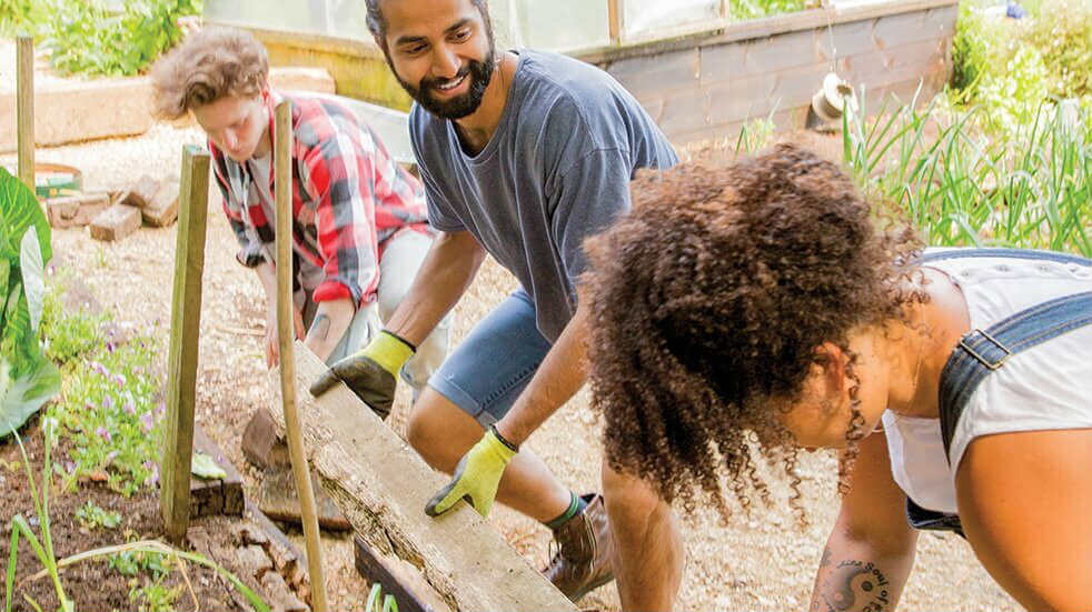 Start volunteering gardening local community